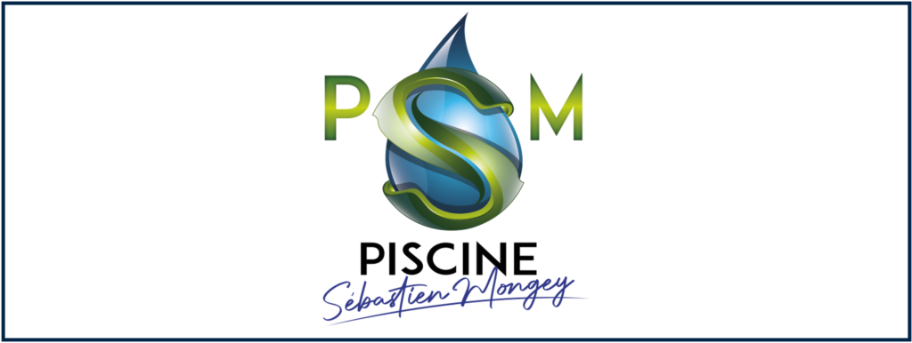 Bandeau PSM logo